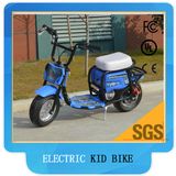 350W Electric Scooter