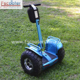 2015 New Fast 2 Wheel Electric Scooter