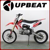 Upbeat Classical Crf110 Style 125cc Pit Bike 125cc Cross Pitbike Crf110 Pit Bike