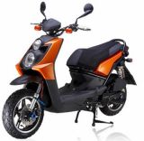 Scooter (SP150T-19) 