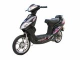 Electric Bike (TDR08611)