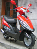 50cc Gas Scooter (YL50QT-9)
