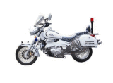 Motorcycle (ZX150-15(PO))