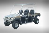 250cc Utility Vehicle (FPT625D)