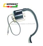 Ww-8309, Motorcycle Part, Motorbike Part, Ax100, Motorcycle Ignition Coil,