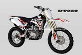 250cc High Quality Dirtbike Motorbike Motorcycle (DT250)