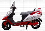 Electric Scooter DL012