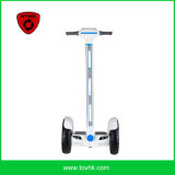 2015 Hot Selling Two Wheels Smart Motor Vehicle with LCD Screen