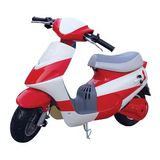 Mini Moto (ZLMI-02G)