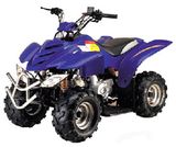 125CC ATV