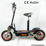 500W/800W Electric Scooter/Mini Scooter/E-Ssooter with CE (SW-CHES001B)