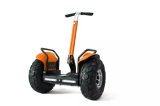 2016 New 19 Inch Self-Balancing off-Road Electric Scooter