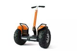 2016 New 19 Inch Self-Balancing off-Road Electric Scooter