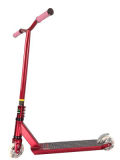 Hot Selling Freestyle Kick Scooter (ZCW010)