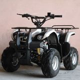 110CC ATV Quads with Front&Back Strong Shelf (ET-ATV004)