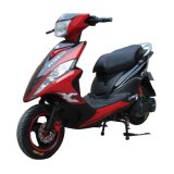 Zhong Chi Qigh Quality Electric Bicycle Vehicle Scooter Motorcycle with 800 Brushless Motor