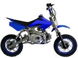 125cc Dirt Bike with Steel Frame (21-E125)