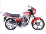 Motorcycle CTM125