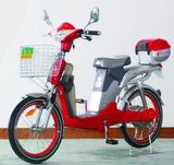 E-Bike (YRJY25Z)