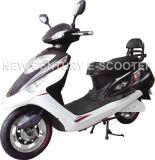 Electric Scooter (NC-42)