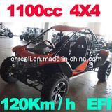 Buggy 1100CC 4x4 120km/H