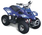 ATV(F49-1ATV)