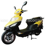 Electric Scooter (NC-44)