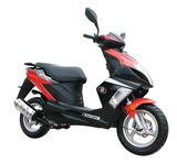 EEC Scooter (Exclusive Model)