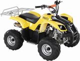 110CC ATV (YHXA302)