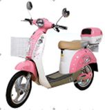 Electric Bicycle DL025