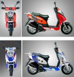 New Design Gas Scooter (50T-6)