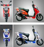 New Design Gas Scooter (50T-6)