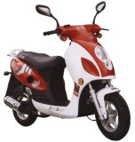 Scooter (ZX50QT-12)