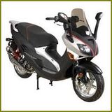 250CC DOT Gas Scooter (DOT250T-5B)