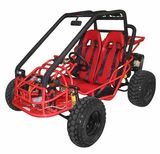 Raider Max Go Kart (175cc) - Double