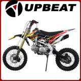 Upbeat Dirt Bike New Model Crf110 Pit Bike