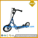 Hangzhou Factory 12inch Hot Sale Profassional Scooter Custom PRO Scooter