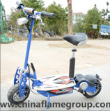 Electric Scooter with 1300W 12' Tire 48V/12ah Lead-Acid