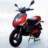 B20 50CC EPA/DOT Gas Scooter