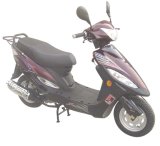 Scooter (SY50QT-Fengbao Yangguang)
