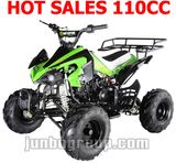 CE 110CC ATV 125CC ATV 110CC Quad 125CC (ATV DR730)