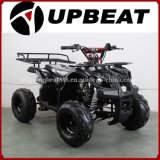 Upbeat Motorcycle 110cc ATV 125cc ATV 90cc ATV Kids ATV