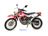 125cc Fashion Dirt Bike with High Quality (SP125GY-1)