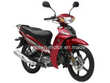 YAMAHA Style, 110cc/100cc/70cc/50cc Motorcycle, Moped, Cub Motorcycle (Sunny Wolf) , Motocicleta