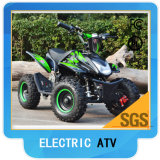 800W Electric ATV 36V
