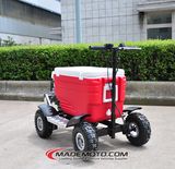 Hot Selling Best Quality Gas Scooter