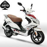 Hot Sell Design Adult Scooter