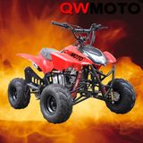 110CC ATV/125CC ATV Quad Bike for Kids