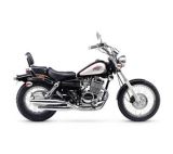 Motorcycle (QJ250-3)