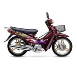 Motorcycle (QJ110-6)